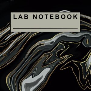 Lab Notebook: Black Marble
